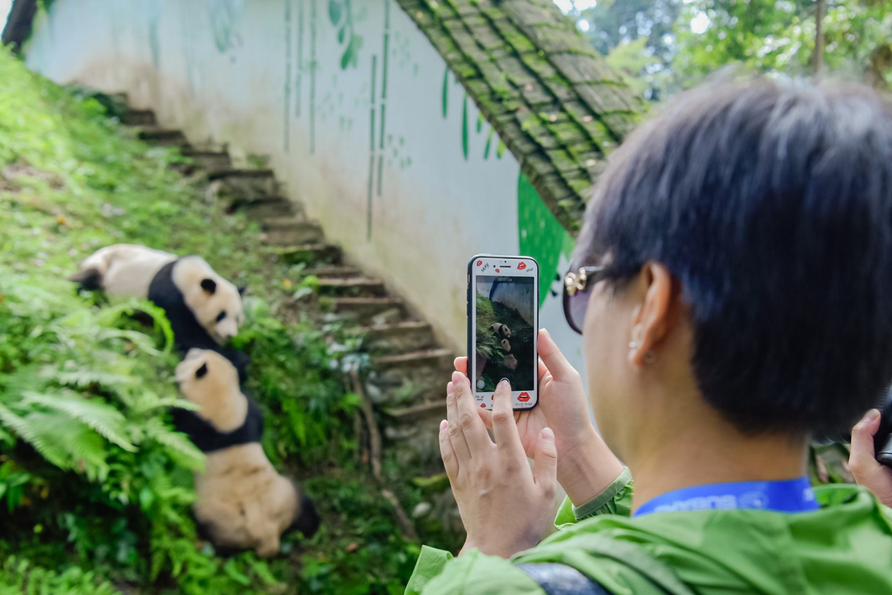 斯巴鲁为什么大家都买,斯巴鲁为啥那么多人买