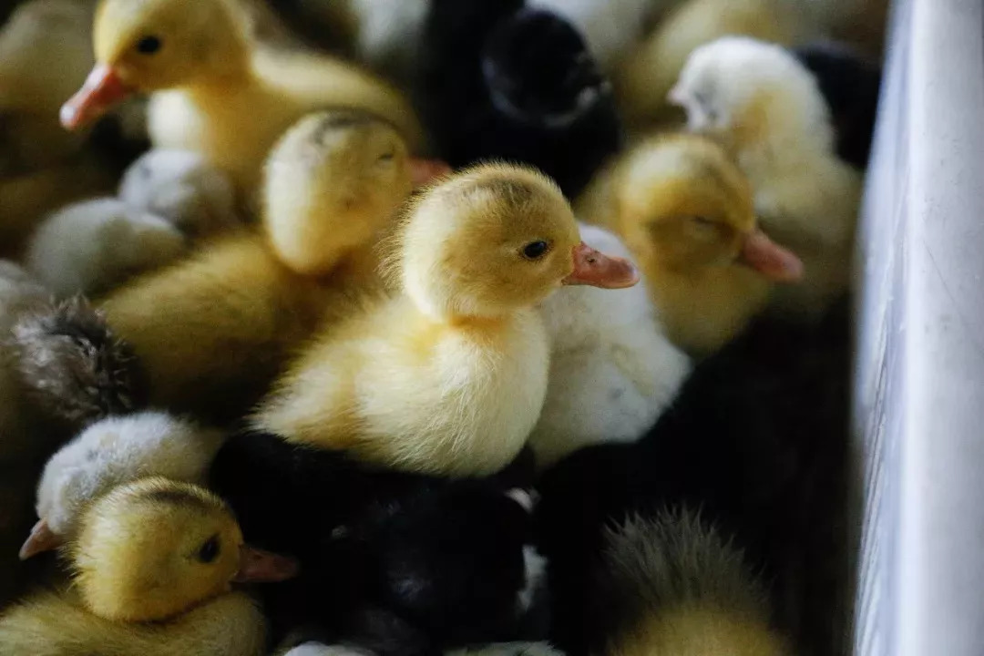 南京的夜晚真实图片,2005年的南京街头真实影像