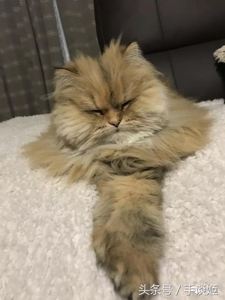 那些有史以来最沙雕的手办,那些被手办大佬神还原的沙雕