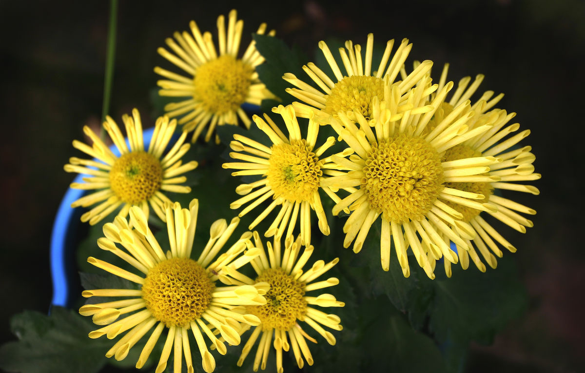 说文解字第28讲,说文解字第69课