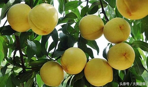 舌尖上的美食之面食,宿州十大特产小吃