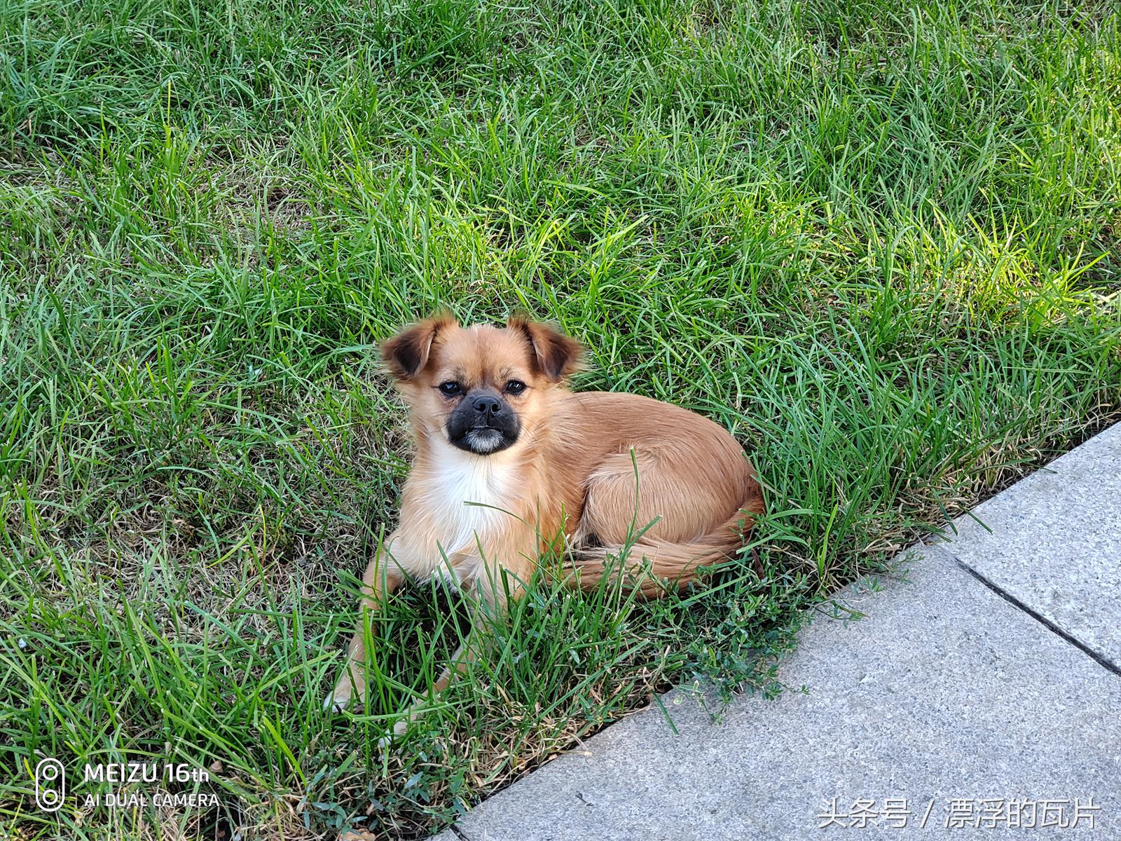 魅族16spro评测,魅族16评测蓝色字体