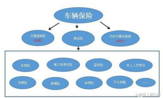 一文看懂车险应该怎么买,一文读懂保费豁免