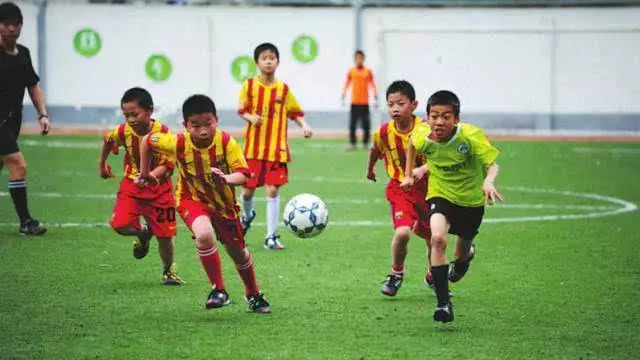 德宏学校名录,德宏重点学校