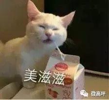 逸合山语城业主纠纷,山语城业主状告物业