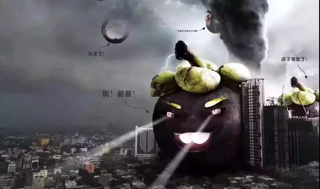 台风山竹的名字会被除名吗,山竹台风被除名