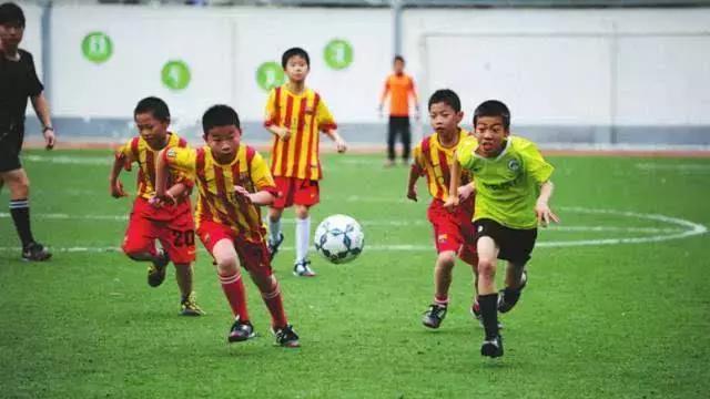 云南省厉害的学校,云南省一级示范学校