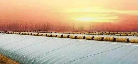 10种常见温室大棚的优缺点分析,助你选出最适合的