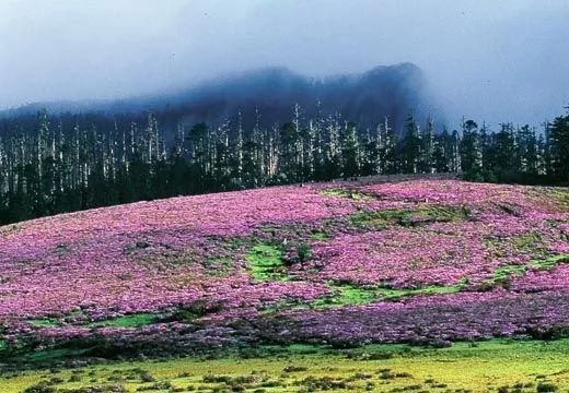环云南自驾旅游攻略最佳线路,南宁自驾游云南最佳旅游攻略