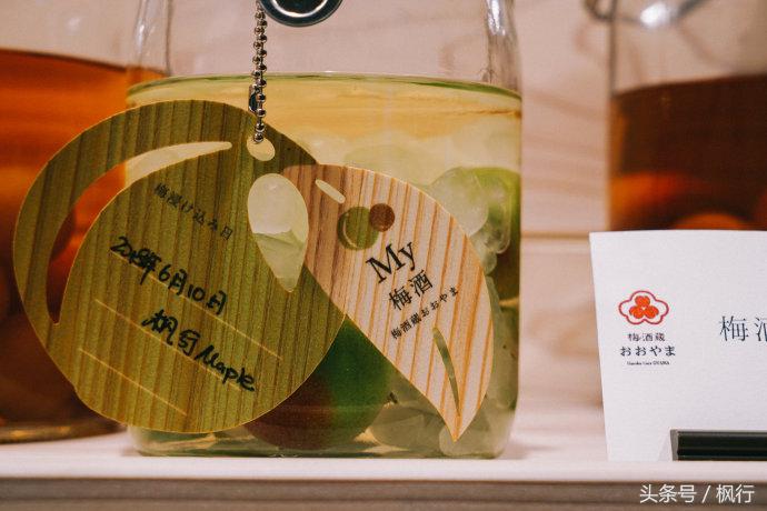 日本秘汤之旅,日本秘汤温泉