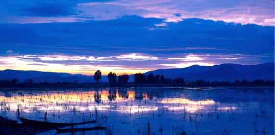 莹莹红豆寄相思便向相思河畔去