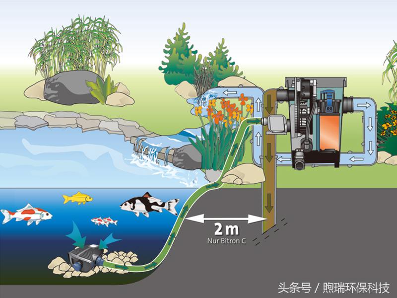 锦鲤鱼池过滤高清详细设计图纸,全自动过滤系统锦鲤鱼池施工方案