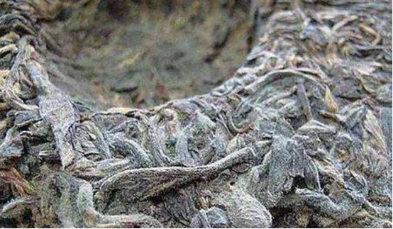 普洱受潮起白毛怎么办,普洱受潮