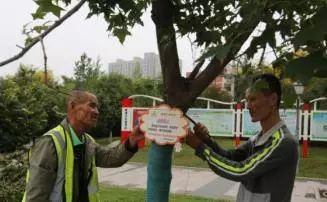 「每日微报」支付宝转账时备注标签要交20%的税?这是谣言!