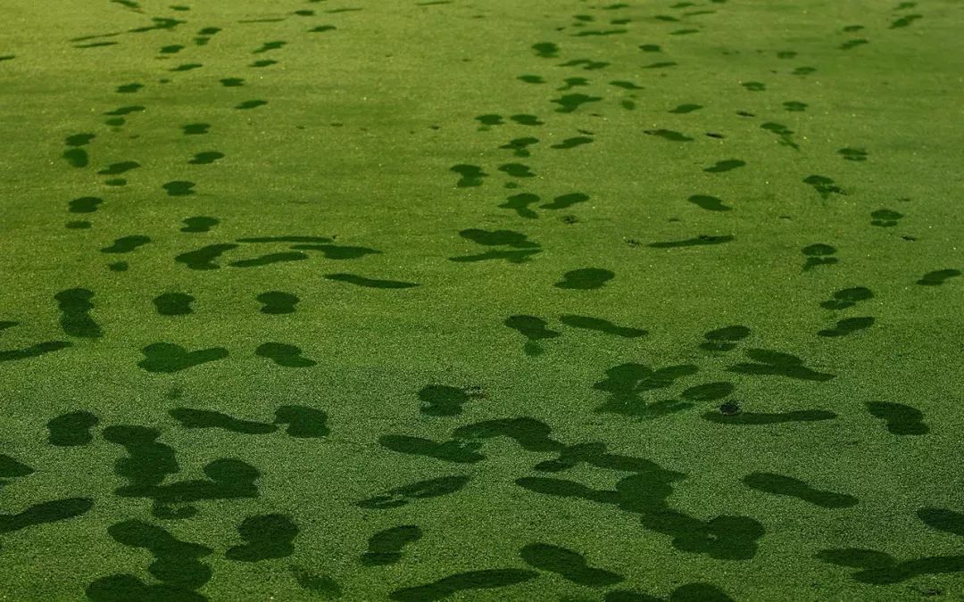 宇宙中最大数字单位你了解多少,宇宙的数字从最大到最小排名