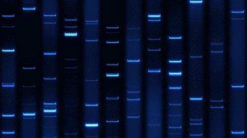 基因治疗失败案例,基因治疗拯救婴儿的生命