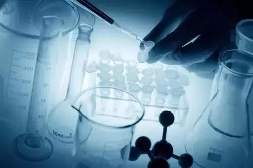 广东佰鸿再生医学有限公司,项目巡礼