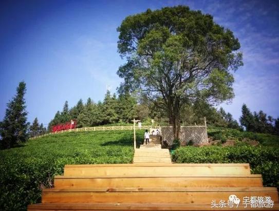 与大自然的完美邂逅,与大自然亲密邂逅