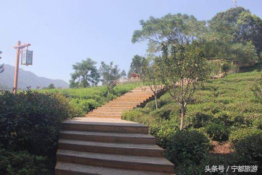 与大自然的完美邂逅,与大自然亲密邂逅