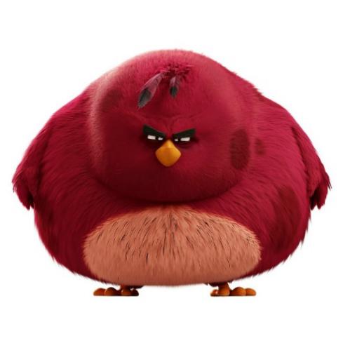 爱美之心皆有之,爱美之心人皆有之