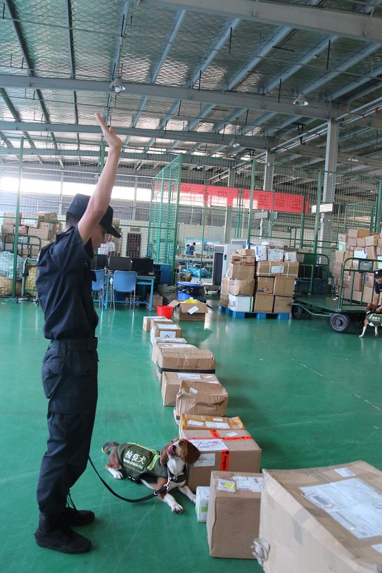 非洲猪瘟丨这个省境内连报8起……海关采取这样一些最严格的口岸防控措施