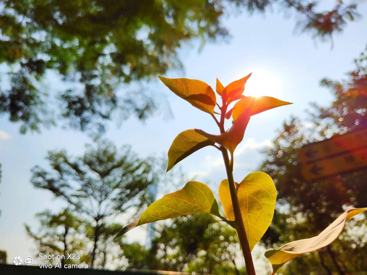 记录最美的你,你的巅峰颜值vivoX23轻松刻录