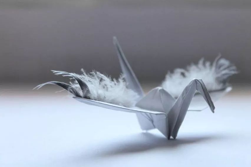 每天折一个千纸鹤,每天折一只纸鹤