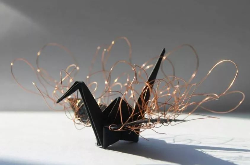 每天折一个千纸鹤,每天折一只纸鹤