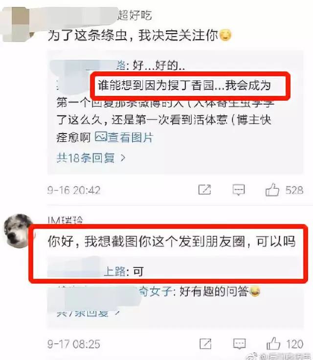 这是一个忧伤的故事英文,这是个忧伤的故事