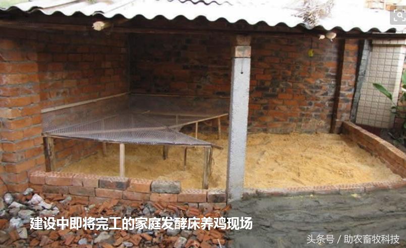 阳台养鸡发酵床注意事项,夏天阳台养鸡用发酵床养鸡可以吗