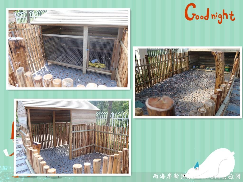 青岛黄岛区长江路街道中心幼儿园,西海岸新区机关第一幼儿园