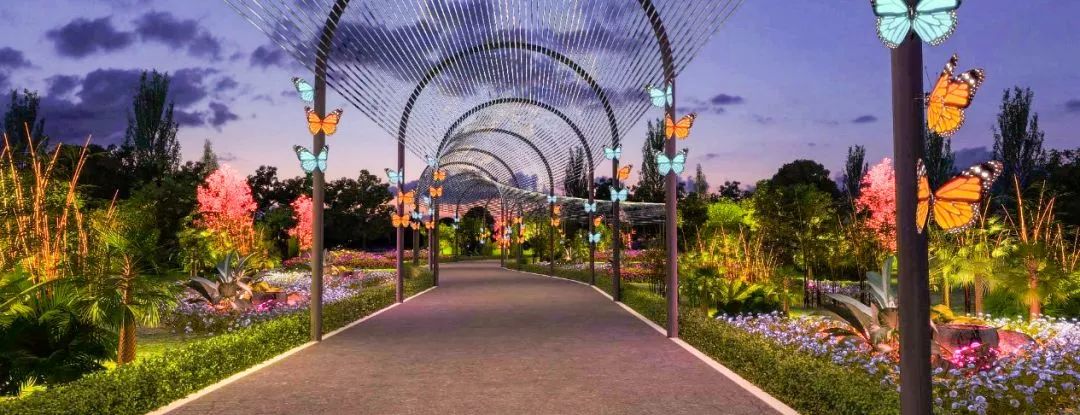 鍞愬北涓冨ぉ鐩涗細鏃堕棿,鍞愬北鍗佷竴娲诲姩