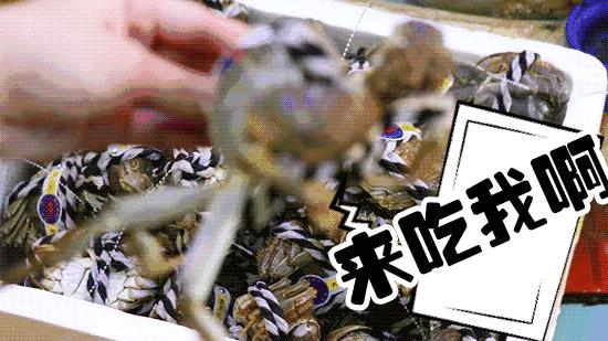 大闸蟹什么时候吃最肥,大闸蟹在几月份吃最肥美