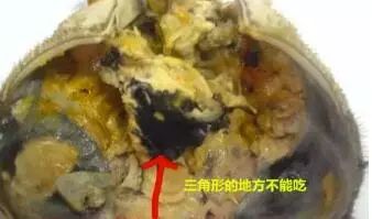 大闸蟹什么时候吃最肥,大闸蟹在几月份吃最肥美