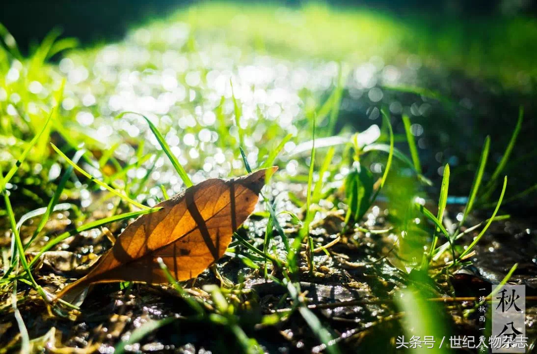 绉嬪垎璁╀汉闅惧彈,绉嬪垎蹇冮唹