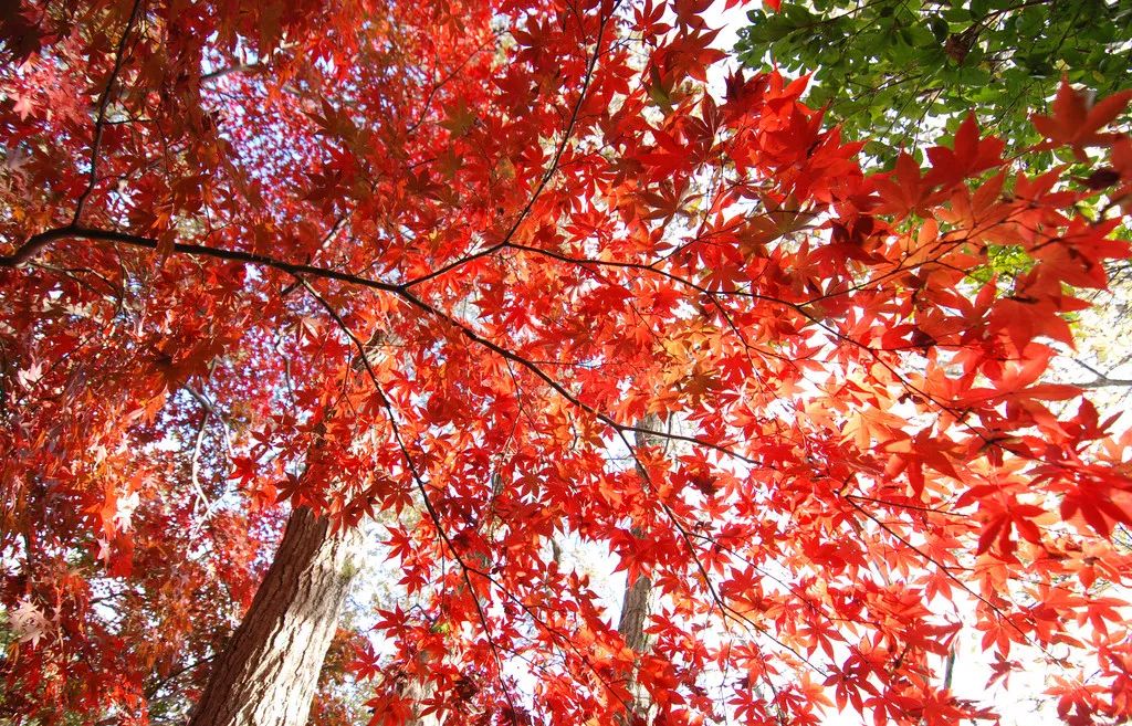 游玩七彩丹霞地貌发朋友圈,华州少华山旅游视频
