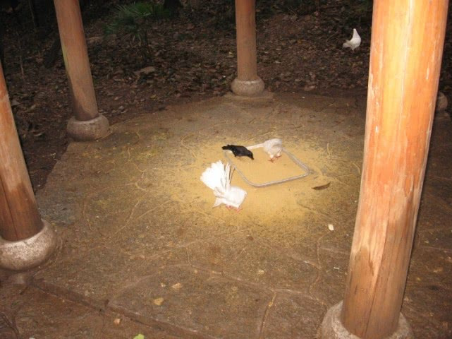 桂林市叠彩山攻略,桂林市叠彩山看风景