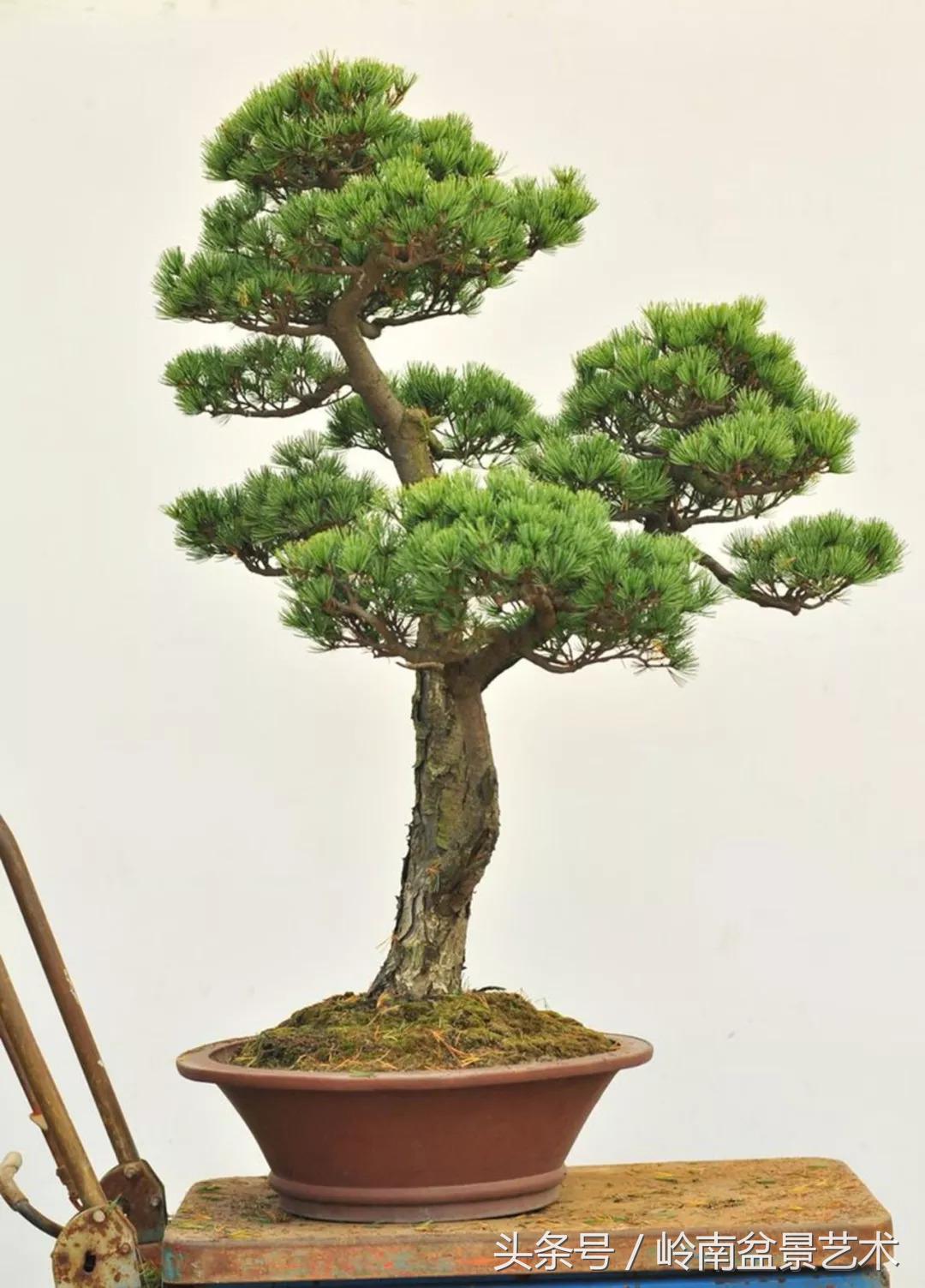 神来之笔绘画作品欣赏,神来之笔书法作品大全