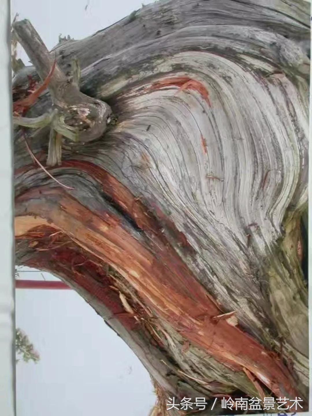 神来之笔绘画作品欣赏,神来之笔书法作品大全