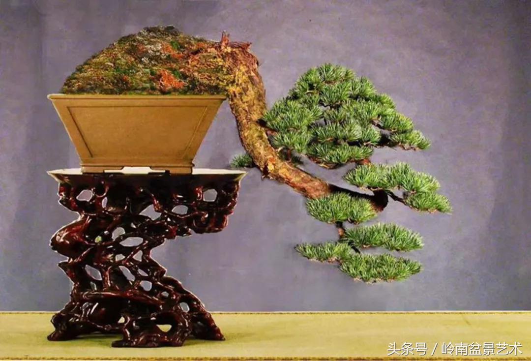 神来之笔绘画作品欣赏,神来之笔书法作品大全