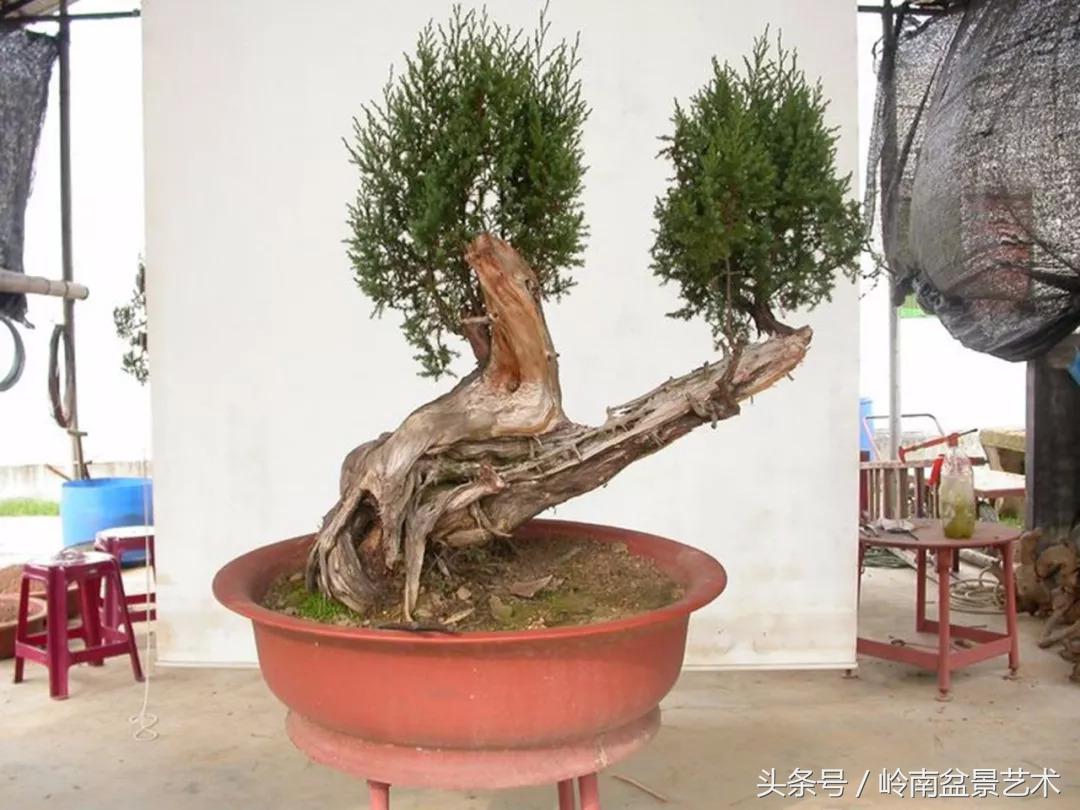 神来之笔绘画作品欣赏,神来之笔书法作品大全