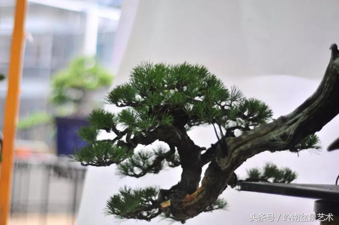 神来之笔绘画作品欣赏,神来之笔书法作品大全