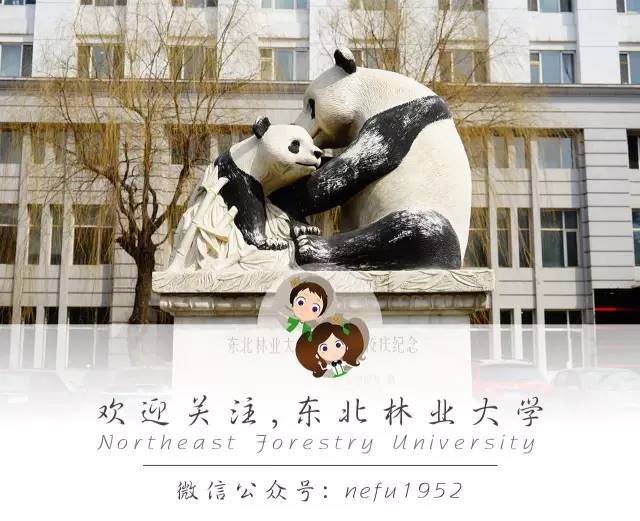 校园网主套餐怎么变更成8元套餐,校园网变更运营商