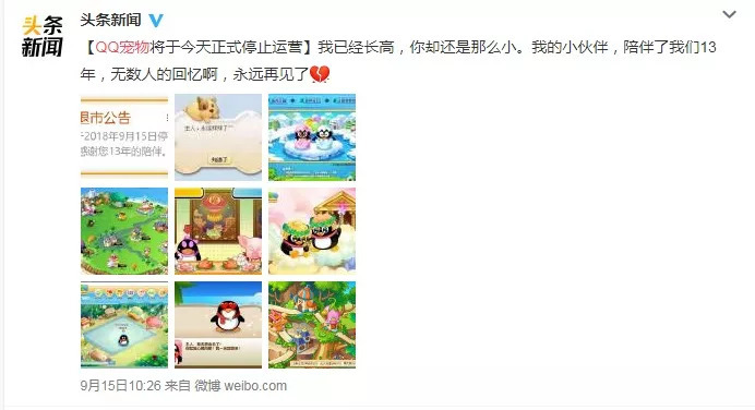 QQ宠物下线了，当年的你是悉心照料还是想掐死企鹅？