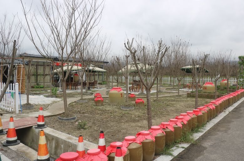 最好看的紫薇花美景,初秋靓丽的紫薇花