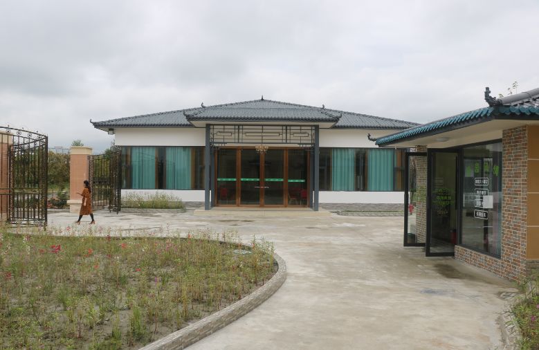 最好看的紫薇花美景,初秋靓丽的紫薇花