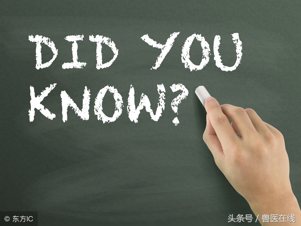 知道这几招再也不用怕猪胀气,知道这四点就不会遭人算计了