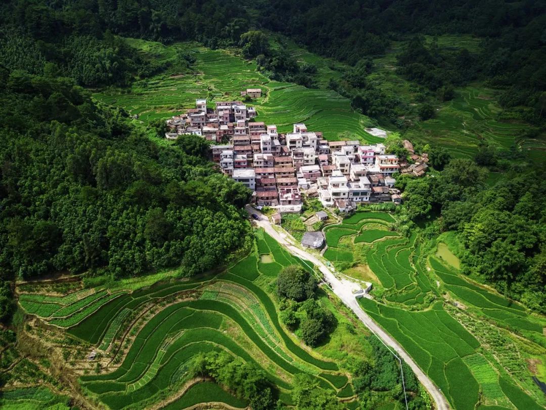 德庆乡村马拉松报名查询,广东德庆第二届乡村马拉松