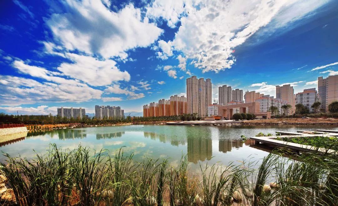 2018直播丰收节：笑喷！体育名嘴孙正平来杨凌，解说牛、羊、西瓜的大检阅！