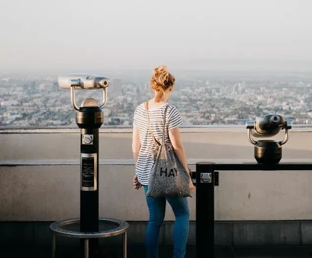 这个世界聪明人太多肯下笨功夫,陈晓卿聪明人总是要下笨功夫